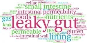 leaky gut syndrome